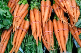 TP.HCM: Khủng khiếp dùng chất độc tẩy cả chục tấn cà rốt trước khi “xuất xưởng”